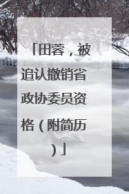 田蓉，被追认撤销省政协委员资格（附简历）
