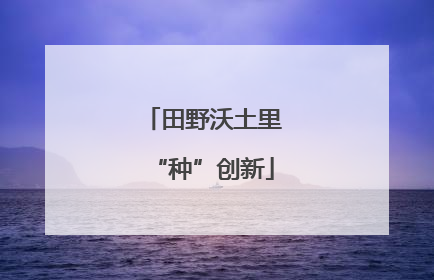 田野沃土里“种”创新