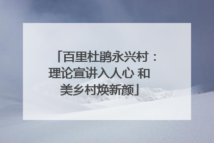 百里杜鹃永兴村：理论宣讲入人心 和美乡村焕新颜