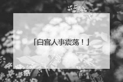 白宫人事震荡！