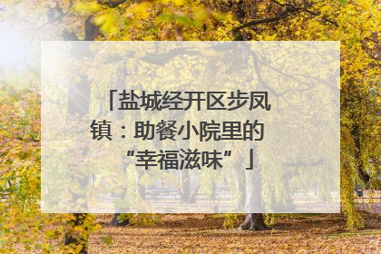 盐城经开区步凤镇：助餐小院里的“幸福滋味”