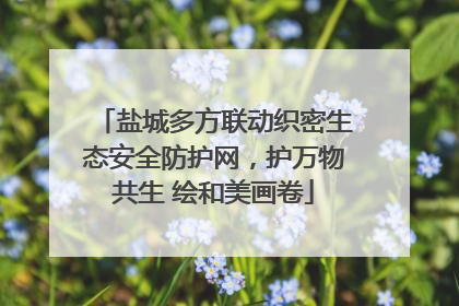盐城多方联动织密生态安全防护网，护万物共生 绘和美画卷