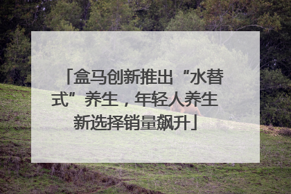 盒马创新推出“水替式”养生，年轻人养生新选择销量飙升