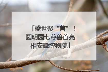盛世聚“首”！圆明园七尊兽首亮相安徽博物院