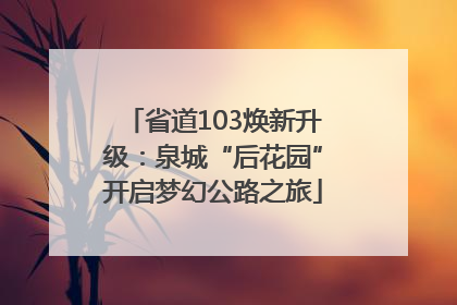 省道103焕新升级：泉城“后花园”开启梦幻公路之旅