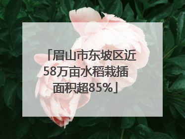 眉山市东坡区近58万亩水稻栽插面积超85%