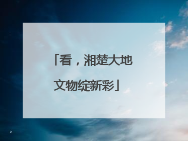 看，湘楚大地文物绽新彩