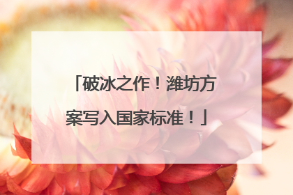破冰之作！潍坊方案写入国家标准！