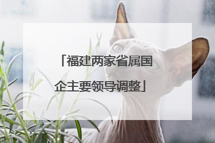 福建两家省属国企主要领导调整