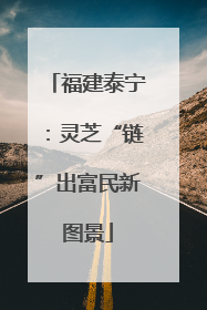 福建泰宁：灵芝“链”出富民新图景