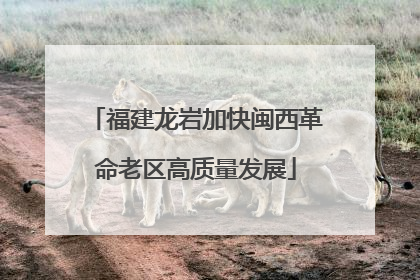 福建龙岩加快闽西革命老区高质量发展