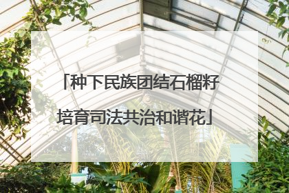 种下民族团结石榴籽 培育司法共治和谐花