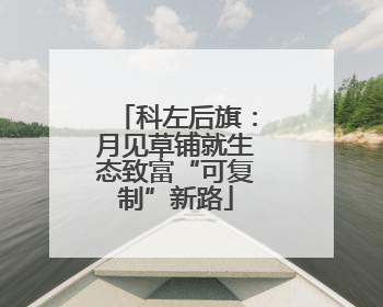 科左后旗：月见草铺就生态致富“可复制”新路