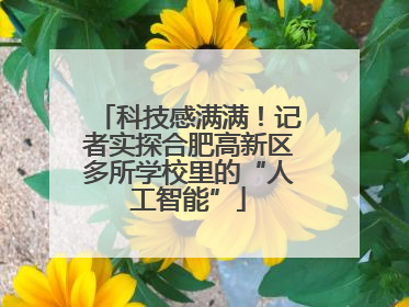 科技感满满！记者实探合肥高新区多所学校里的“人工智能”