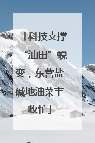 科技支撑“油田”蜕变，东营盐碱地油菜丰收忙