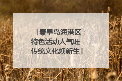 秦皇岛海港区：特色活动人气旺 传统文化焕新生