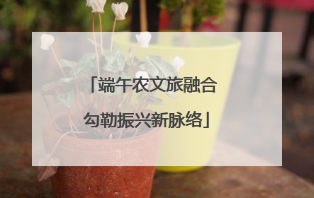 端午农文旅融合 勾勒振兴新脉络