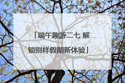 端午趣游二七 解锁别样假期新体验