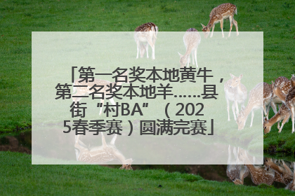 第一名奖本地黄牛，第二名奖本地羊……县街“村BA”（2025春季赛）圆满完赛