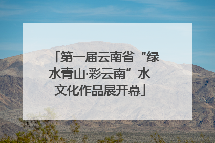 第一届云南省“绿水青山·彩云南”水文化作品展开幕