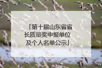 第十届山东省省长质量奖申报单位及个人名单公示