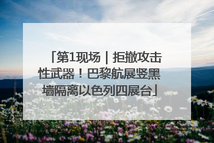 第1现场｜拒撤攻击性武器！巴黎航展竖黑墙隔离以色列四展台