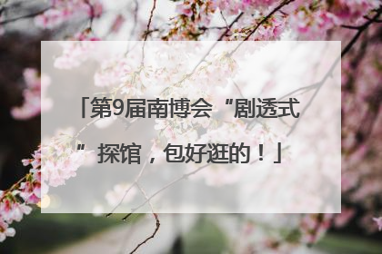 第9届南博会“剧透式”探馆，包好逛的！