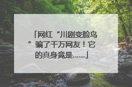 网红“川剧变脸鸟”骗了千万网友！它的真身竟是……