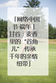 网络中国节·端午丨甘谷：麦香里的“谷角儿” 传承千年的亲情纽带