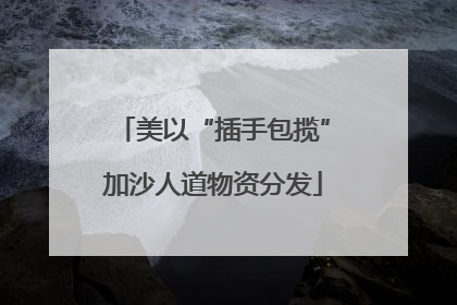 美以“插手包揽”加沙人道物资分发