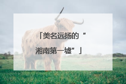 美名远扬的“湘南第一墟”