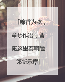 粽香为弦，童梦作谱，普陀这里奏响睦邻新乐章