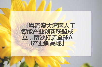 粤港澳大湾区人工智能产业创新联盟成立，南沙打造全球AI产业新高地