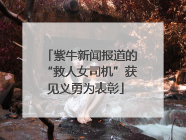 紫牛新闻报道的“救人女司机”获见义勇为表彰