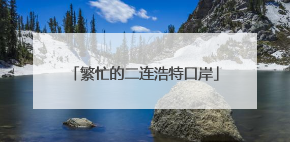 繁忙的二连浩特口岸