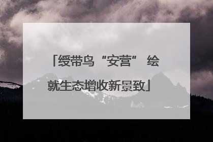 绶带鸟“安营” 绘就生态增收新景致