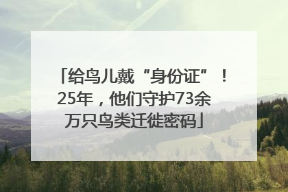 给鸟儿戴“身份证”！25年，他们守护73余万只鸟类迁徙密码