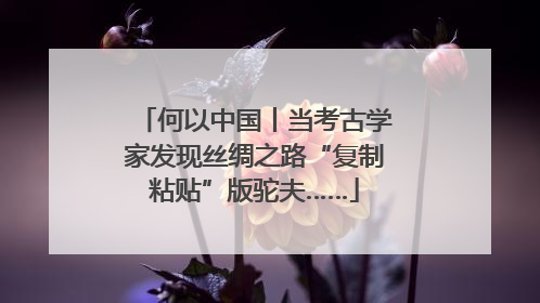 何以中国丨当考古学家发现丝绸之路“复制粘贴”版驼夫……