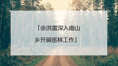 余洪雷深入南山乡开展巡林工作