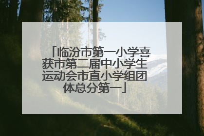 临汾市第一小学喜获市第二届中小学生运动会市直小学组团体总分第一