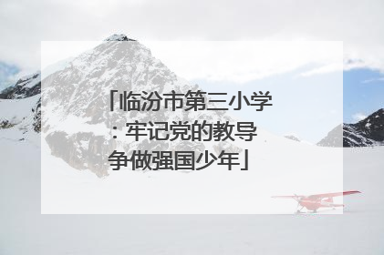 临汾市第三小学：牢记党的教导 争做强国少年
