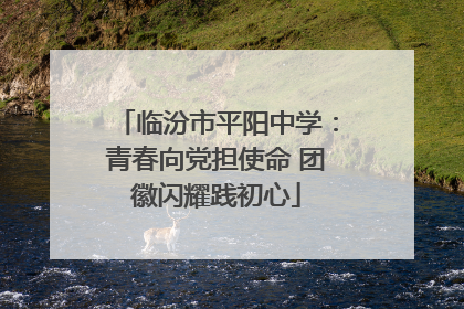 临汾市平阳中学：青春向党担使命 团徽闪耀践初心