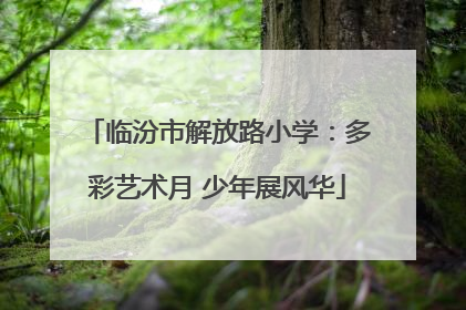 临汾市解放路小学：多彩艺术月 少年展风华