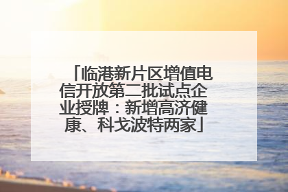 临港新片区增值电信开放第二批试点企业授牌：新增高济健康、科戈波特两家
