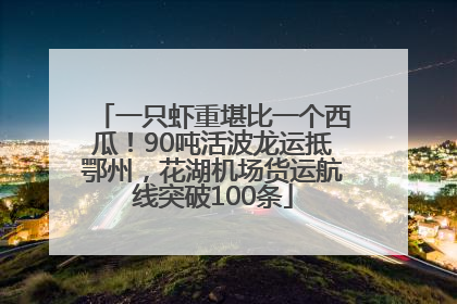 一只虾重堪比一个西瓜！90吨活波龙运抵鄂州，花湖机场货运航线突破100条