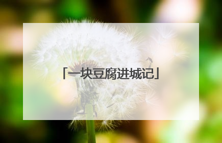 一块豆腐进城记