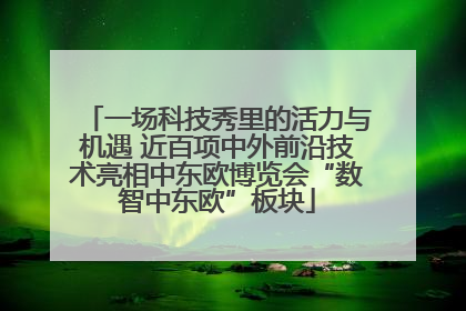 一场科技秀里的活力与机遇 近百项中外前沿技术亮相中东欧博览会“数智中东欧”板块