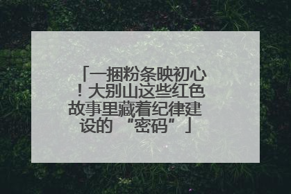 一捆粉条映初心！大别山这些红色故事里藏着纪律建设的 “密码”