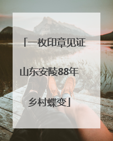 一枚印章见证山东安陵88年乡村蝶变