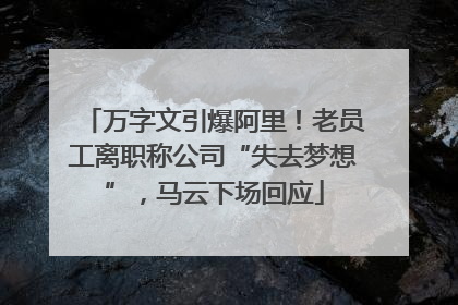 万字文引爆阿里！老员工离职称公司“失去梦想”，马云下场回应